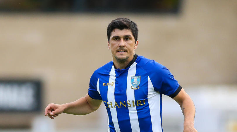 شفیلد ونزدی-چمپیونشیپ-ایتالیا-Championship-Italy-Fernando Forestieri