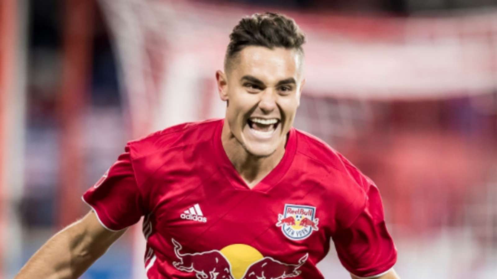 New York Red Bulls-آمریکا-لیگ ستارگان-MLS-USA-نیویورک ردبولز