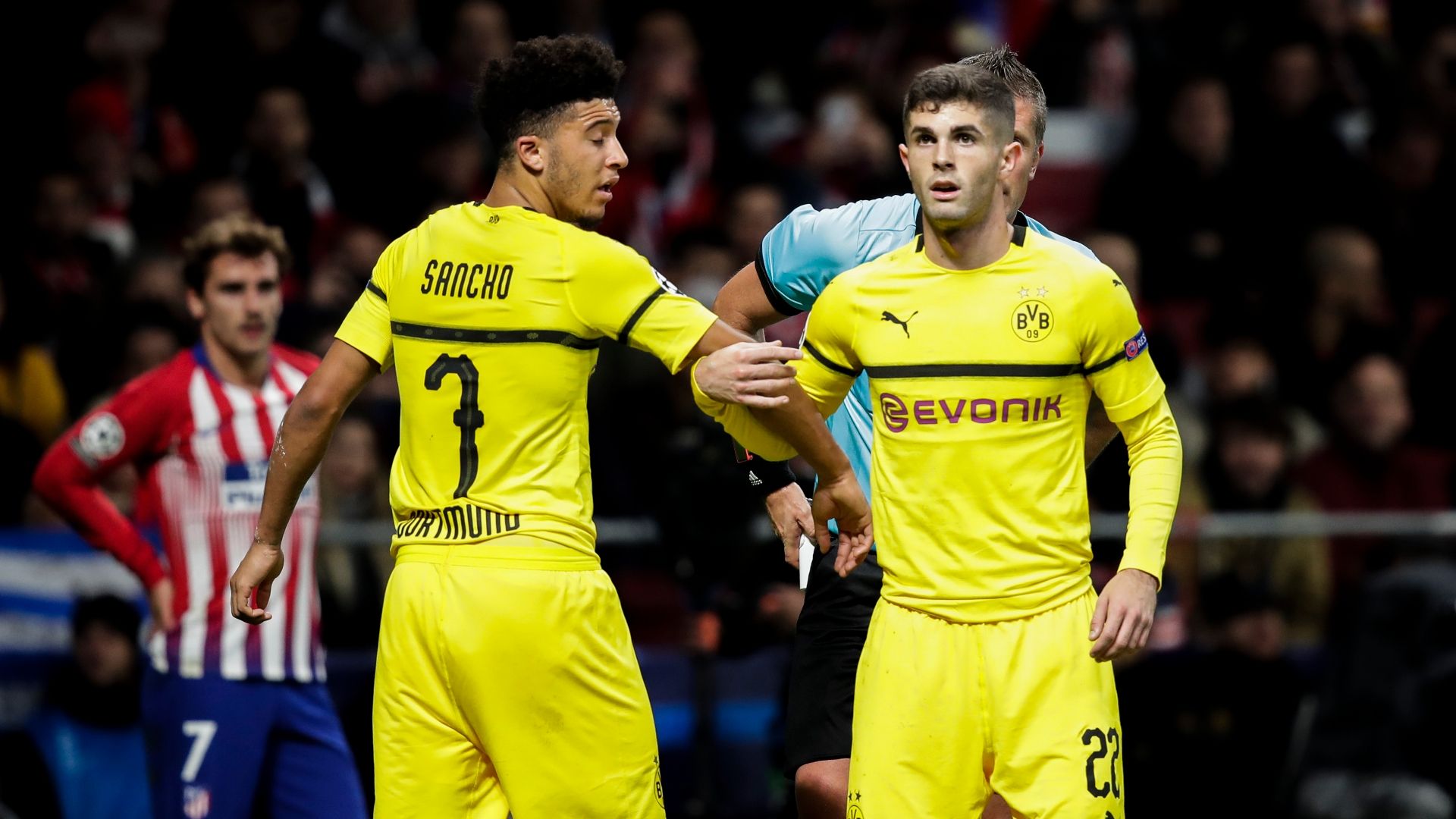 دورتموند- آلمان- بوندس لیگا- زنبورها- Borussia Dortmund- Germany- United States- Bundesliga