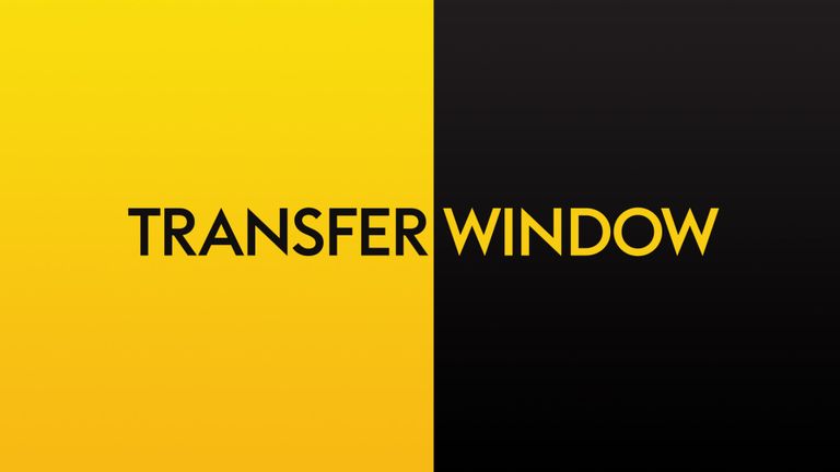 نقل و انتقالات-transfer window 