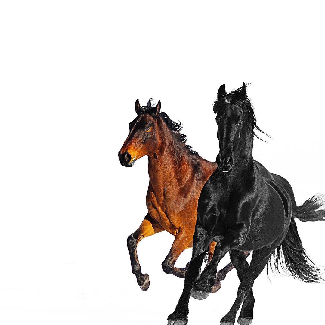 old town road ft. billy ray cyrus free mp3 download