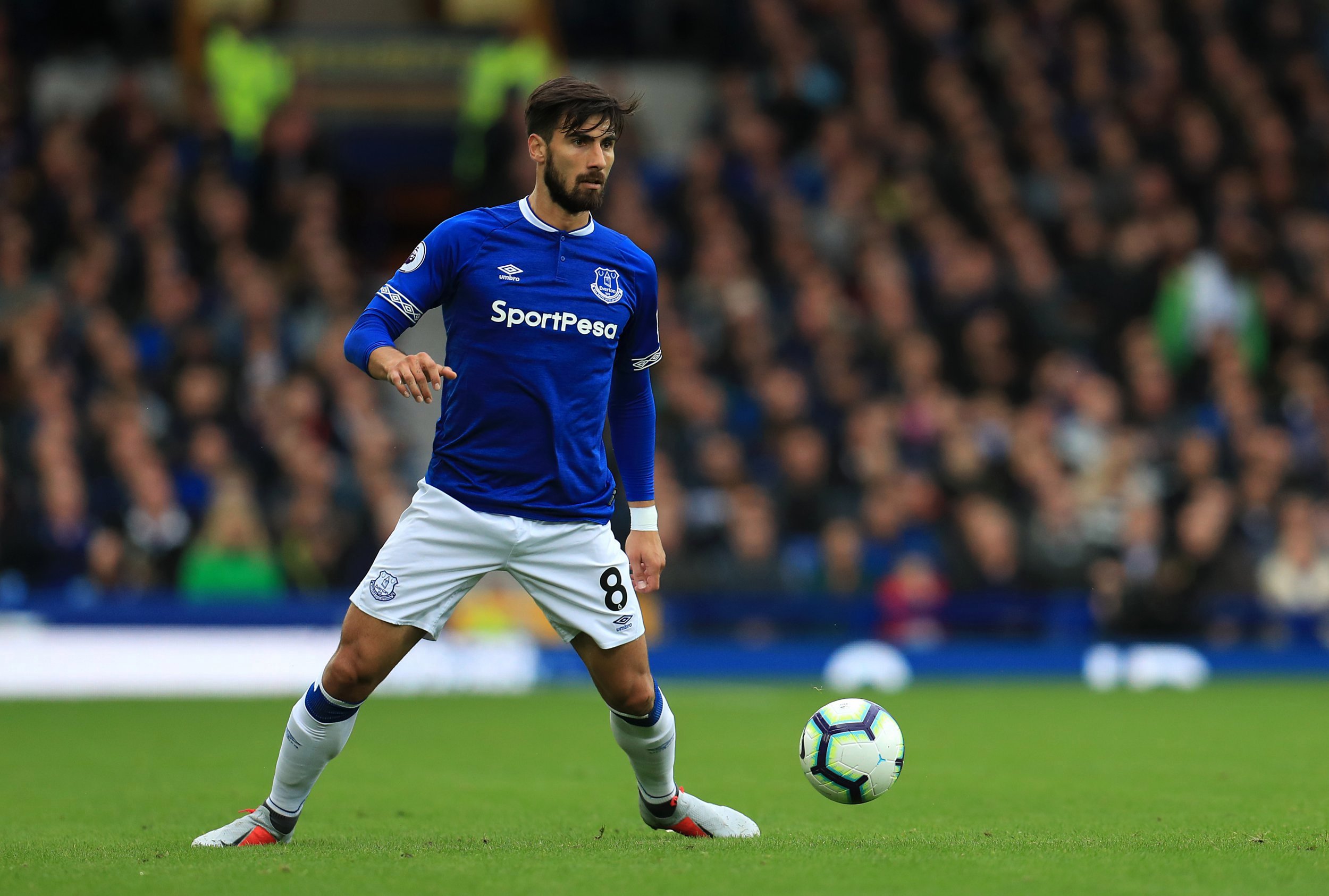 اورتون-Everton-لیگ برتر-Primier League