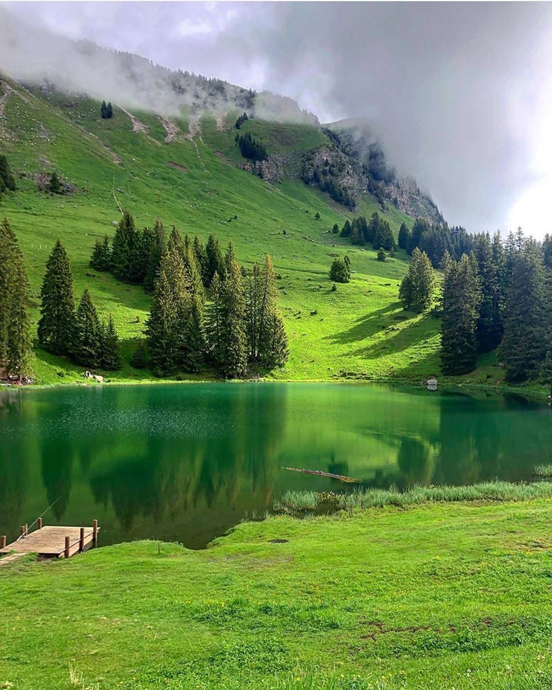 طبیعت زیبای سوئیس | طرفداری