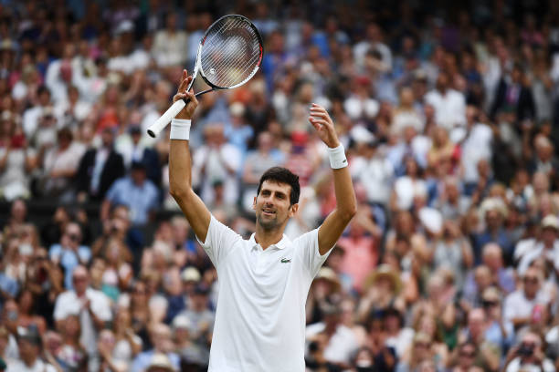 Novak djokovic - wimbledon - ویمبلدون