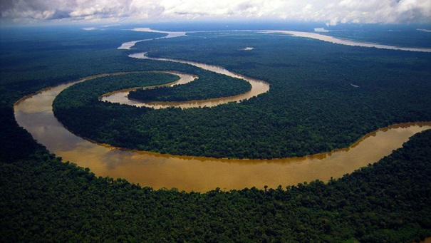 نمایی از رود و جنگل آمازون