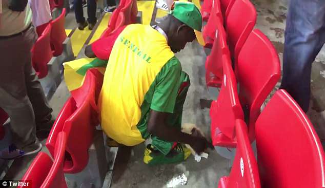 هواداران سنگال